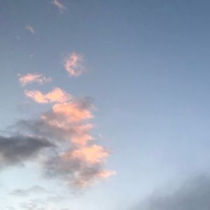 Meet your Posher, Jamaica